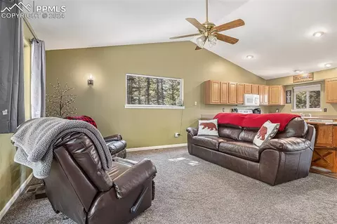 Living - 564 Black Bear Dr, Divide, CO 80814 photo 1 of 1