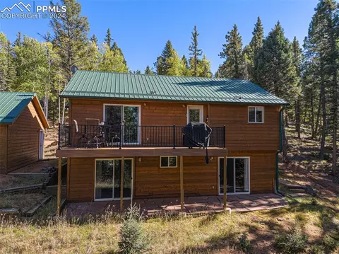 Other - 564 Black Bear Dr, Divide, CO 80814 photo 15 of 15
