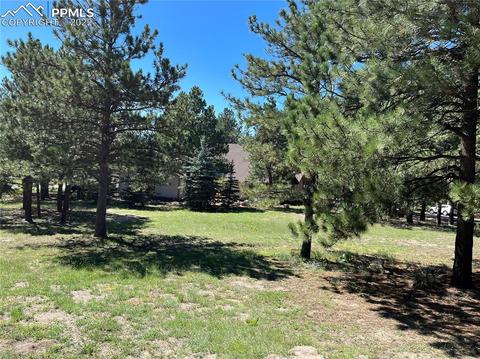 618 Hidden Marsh Rd, Monument, CO 80132 photo 7