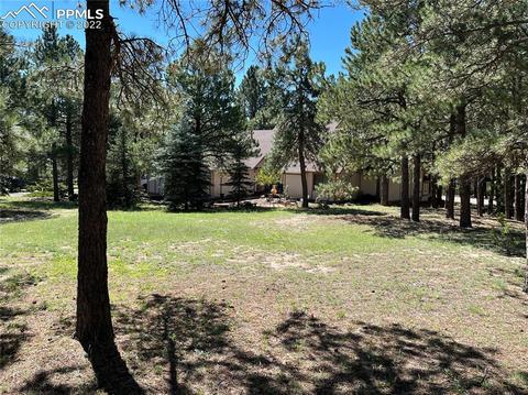 618 Hidden Marsh Rd, Monument, CO 80132 photo 6