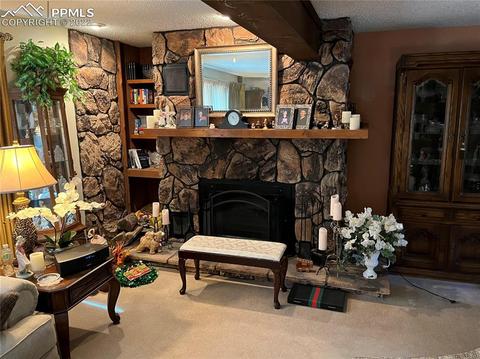 618 Hidden Marsh Rd, Monument, CO 80132 photo 13