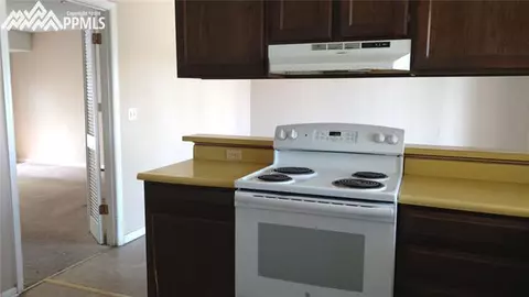 327 Raspberry Ln, Monument, CO 80132 photo 8