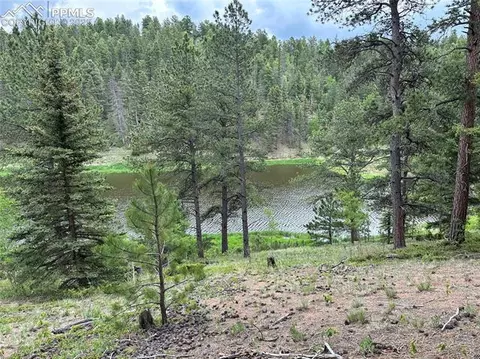 132 Daniel Way, Divide, CO 80814 photo 3