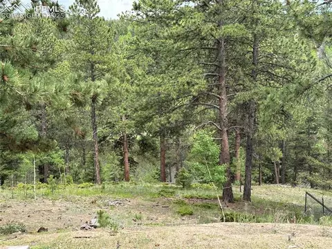 132 Daniel Way, Divide, CO 80814 photo 19
