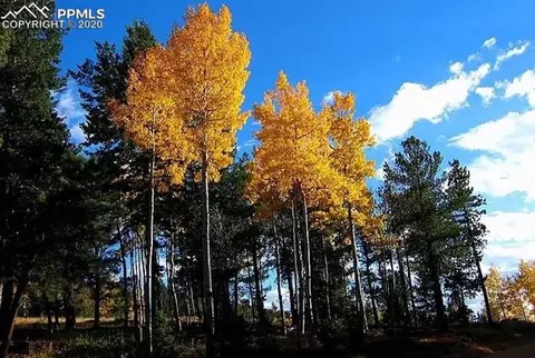 1300 Elk Meadow Rd, Divide, CO 80814 photo 16