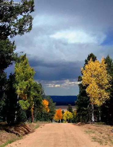 1300 Elk Meadow Rd, Divide, CO 80814 photo 7