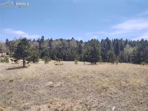 1300 Elk Meadow Rd, Divide, CO 80814 photo 19