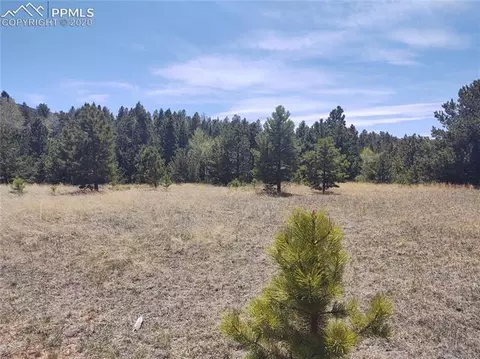 1300 Elk Meadow Rd, Divide, CO 80814 photo 20