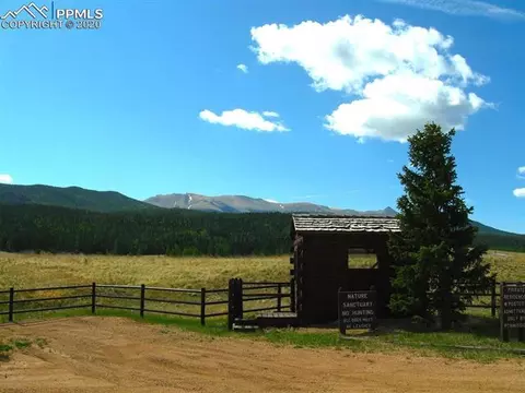 1300 Elk Meadow Rd, Divide, CO 80814 photo 13