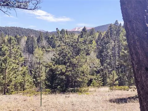 1300 Elk Meadow Rd, Divide, CO 80814 photo 18