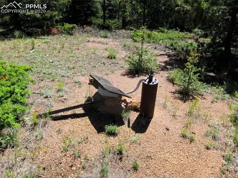 1300 Elk Meadow Rd, Divide, CO 80814 photo 2