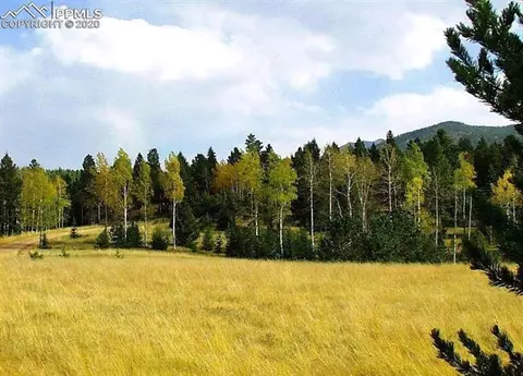 1300 Elk Meadow Rd, Divide, CO 80814 photo 12