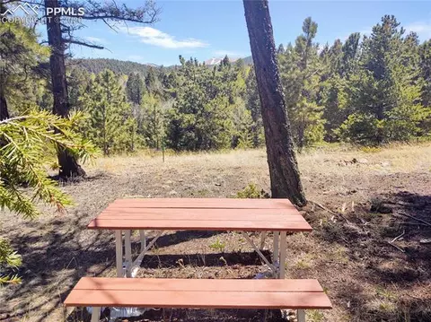1300 Elk Meadow Rd, Divide, CO 80814 photo 17