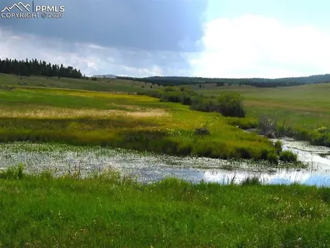 1300 Elk Meadow Rd, Divide, CO 80814 photo 14