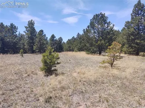 1300 Elk Meadow Rd, Divide, CO 80814 photo 21