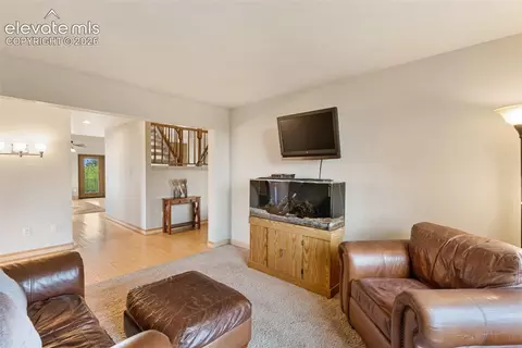 23311 S Highway 67, Divide, CO 80814 photo 14