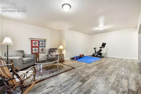 Other - 10059 Mount Princeton Dr, Peyton, CO 80831 photo 10 of 22