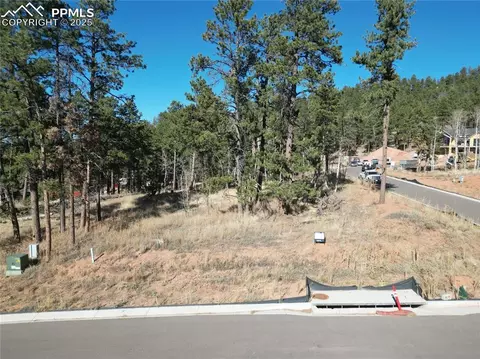 1310 Blue Haven Pl, Woodland Park, CO 80863