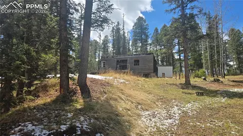 129 Mt Elbert Rd, Florissant, CO 80816