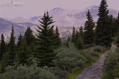 Forest Service 408 Road, Alma, CO 80420