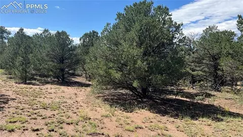 Q Path, Cotopaxi, CO 81223 photo 4