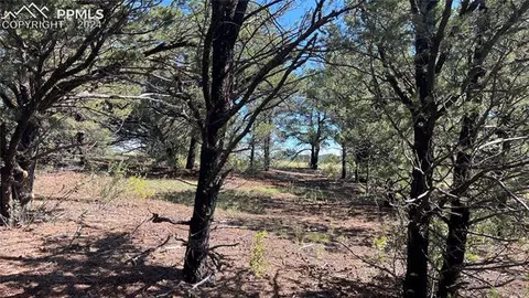 Q Path, Cotopaxi, CO 81223 photo 10