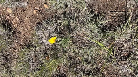 Q Path, Cotopaxi, CO 81223 photo 6