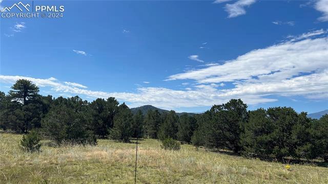 Q Path, Cotopaxi, CO 81223
