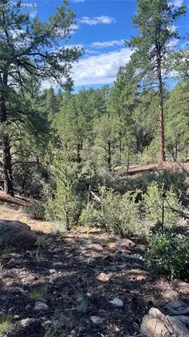Q Path, Cotopaxi, CO 81223 photo 11