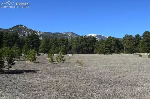 8500 Park Rd, Rye, CO 81069 photo 22