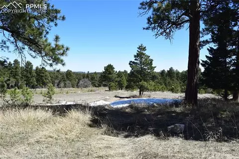 8500 Park Rd, Rye, CO 81069 photo 24