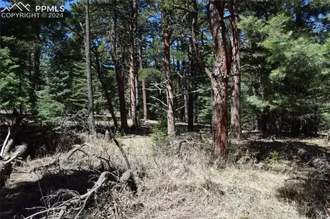 8500 Park Rd, Rye, CO 81069 photo 25