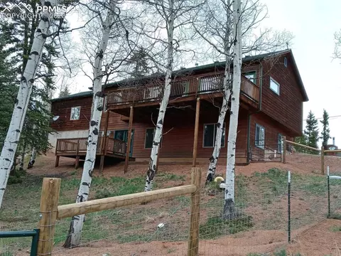 238 Aspen Cir, Divide, CO 80814 photo 3