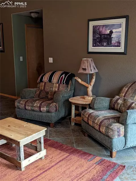 238 Aspen Cir, Divide, CO 80814 photo 42