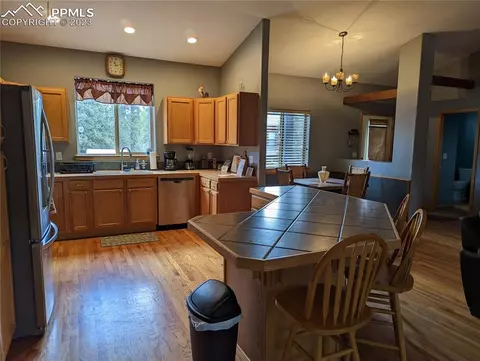 238 Aspen Cir, Divide, CO 80814 photo 24
