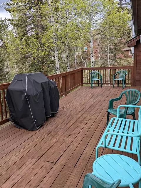 238 Aspen Cir, Divide, CO 80814 photo 4