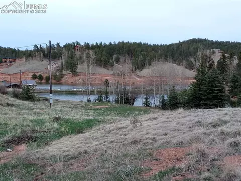 238 Aspen Cir, Divide, CO 80814 photo 13