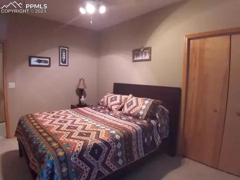 238 Aspen Cir, Divide, CO 80814 photo 33
