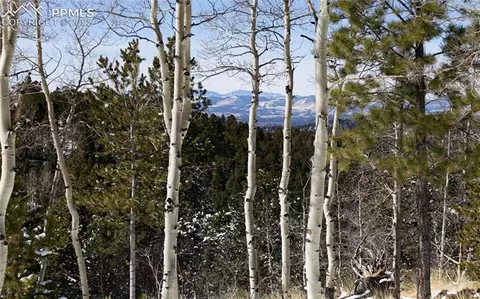 548 Paradiso Rd, Divide, CO 80814 photo 34