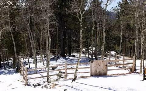 548 Paradiso Rd, Divide, CO 80814 photo 33