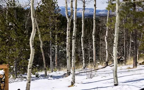 548 Paradiso Rd, Divide, CO 80814 photo 35