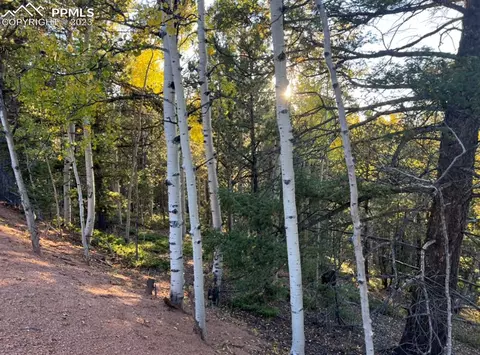 657 Calcite Dr, Divide, CO 80814 photo 4