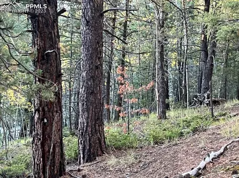 657 Calcite Dr, Divide, CO 80814 photo 36