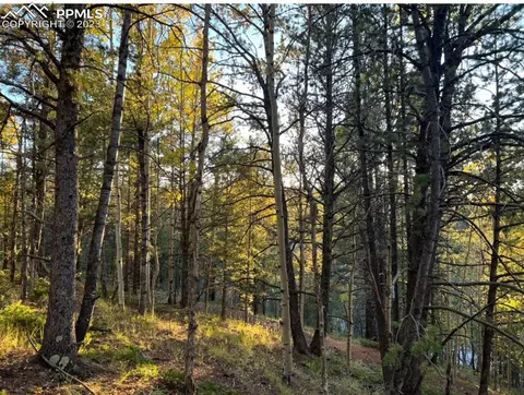657 Calcite Dr, Divide, CO 80814 photo 19