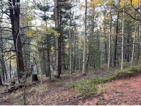 657 Calcite Dr, Divide, CO 80814 photo 38