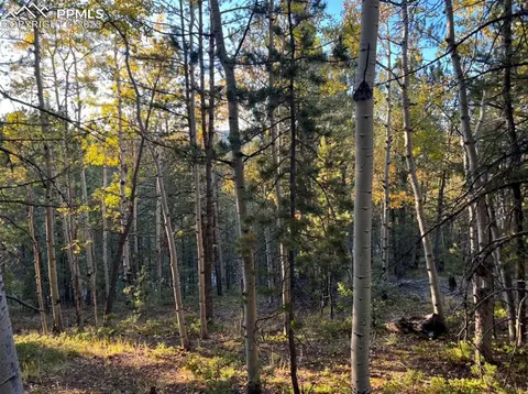 657 Calcite Dr, Divide, CO 80814 photo 5