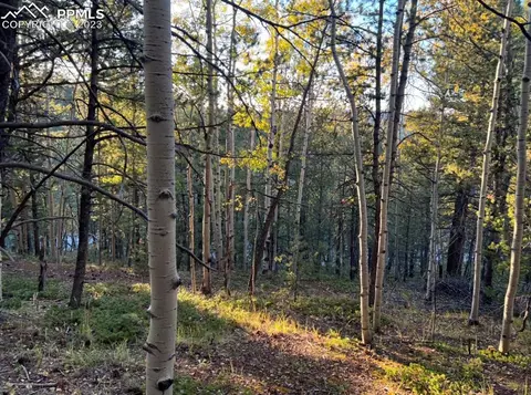 657 Calcite Dr, Divide, CO 80814 photo 1