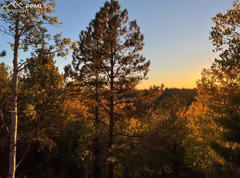 657 Calcite Dr, Divide, CO 80814 photo 6