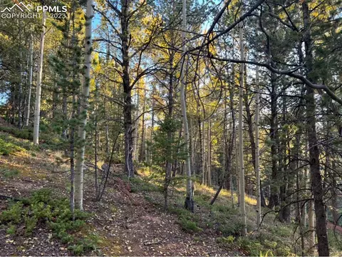 657 Calcite Dr, Divide, CO 80814 photo 18