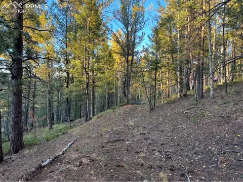 657 Calcite Dr, Divide, CO 80814 photo 31